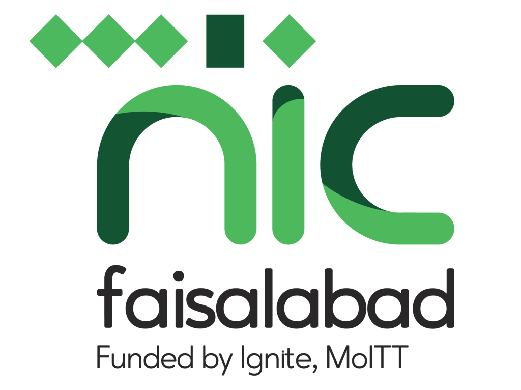 NIC Faisalabad